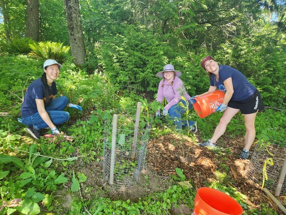 Volunteer with Green Kirkland This April for Earth Month