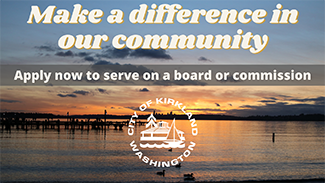 There’s Still Time to Apply to Advise the Council