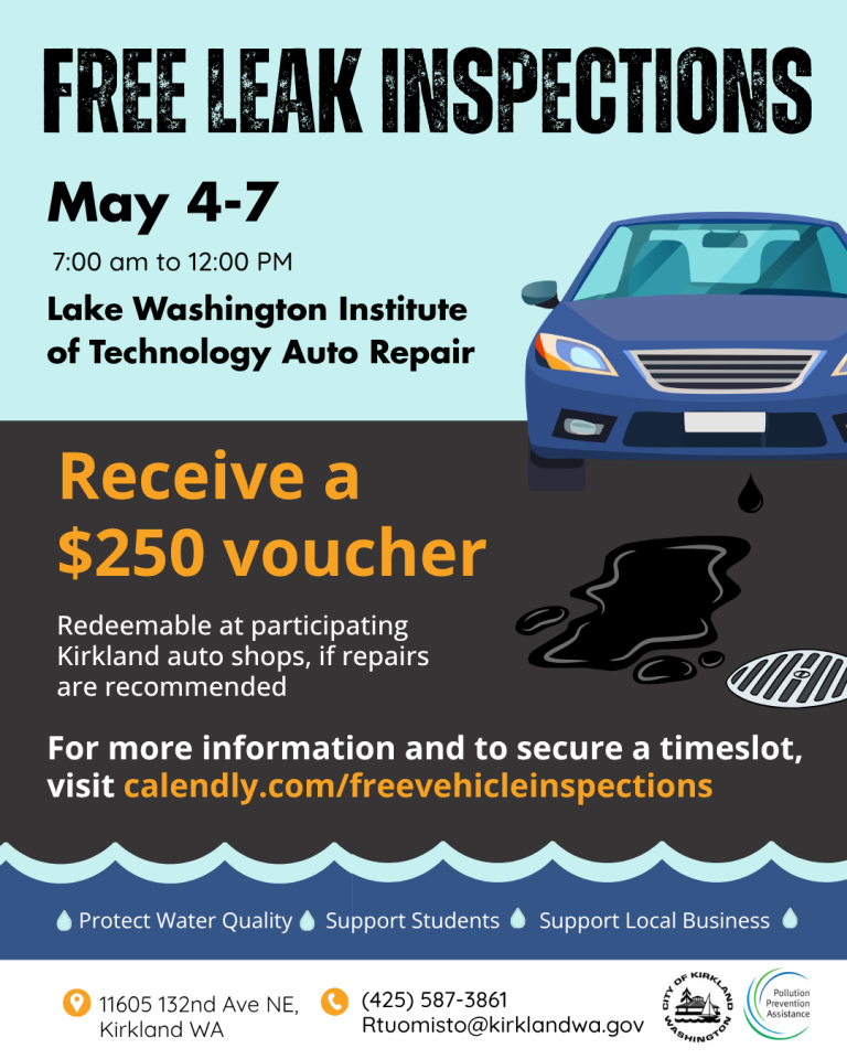 Stop the Drip: Free Vehicle Leak Inspections May 4-7