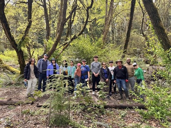 Spring Is Calling: Volunteer with Green Kirkland in May!